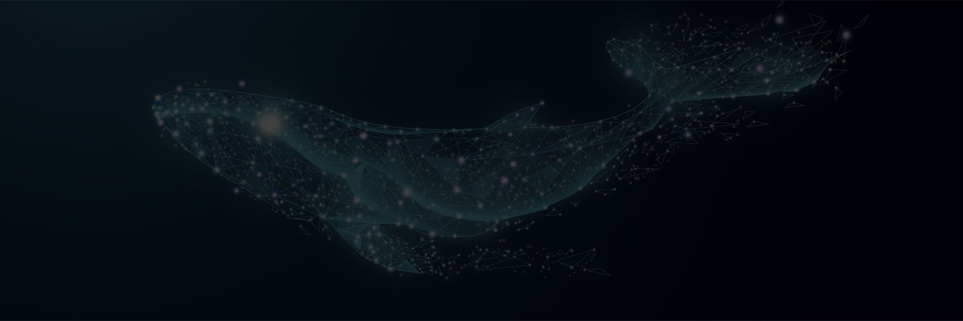 深圳做网站公司,广州做网站公司